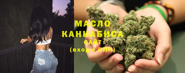 индика Осташков