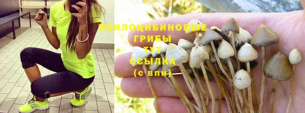 бутират Арсеньев